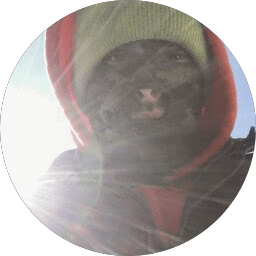 Brandon K.